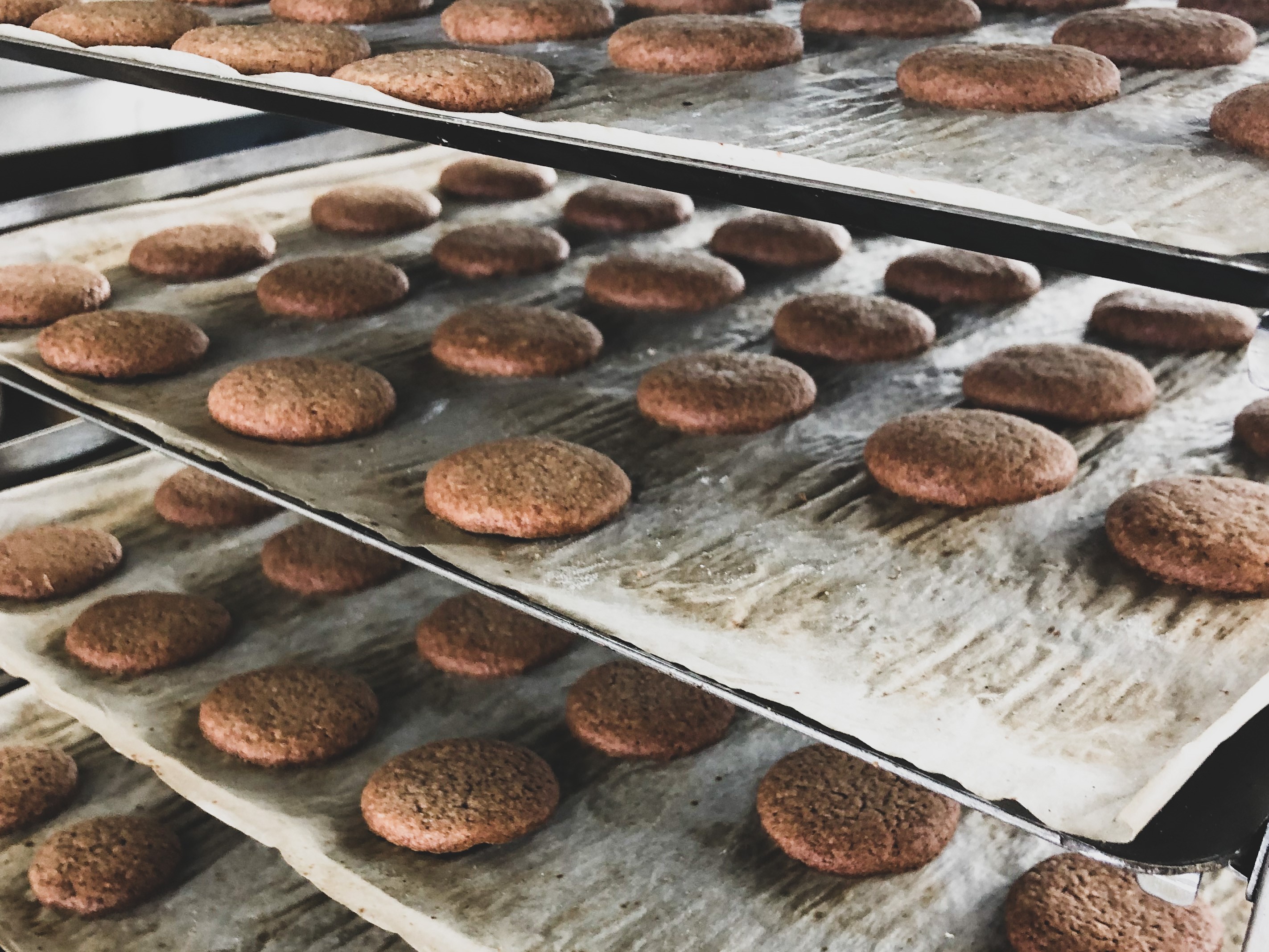 Biscuits réalisés à la farine de caroube marocaine dans le cadre du projet de recherche de PIDEX