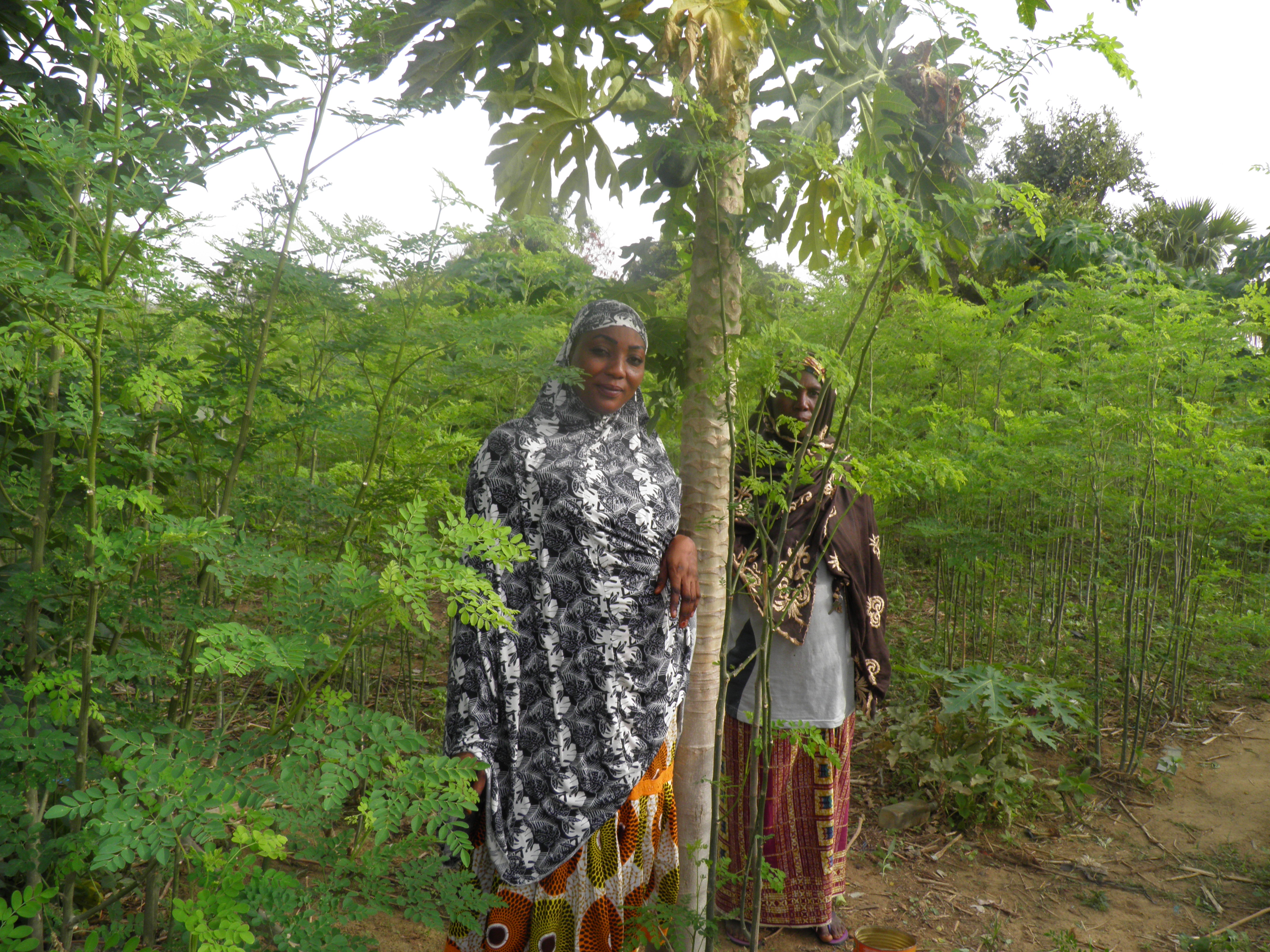 Alimatou à Birni N’Gaouré