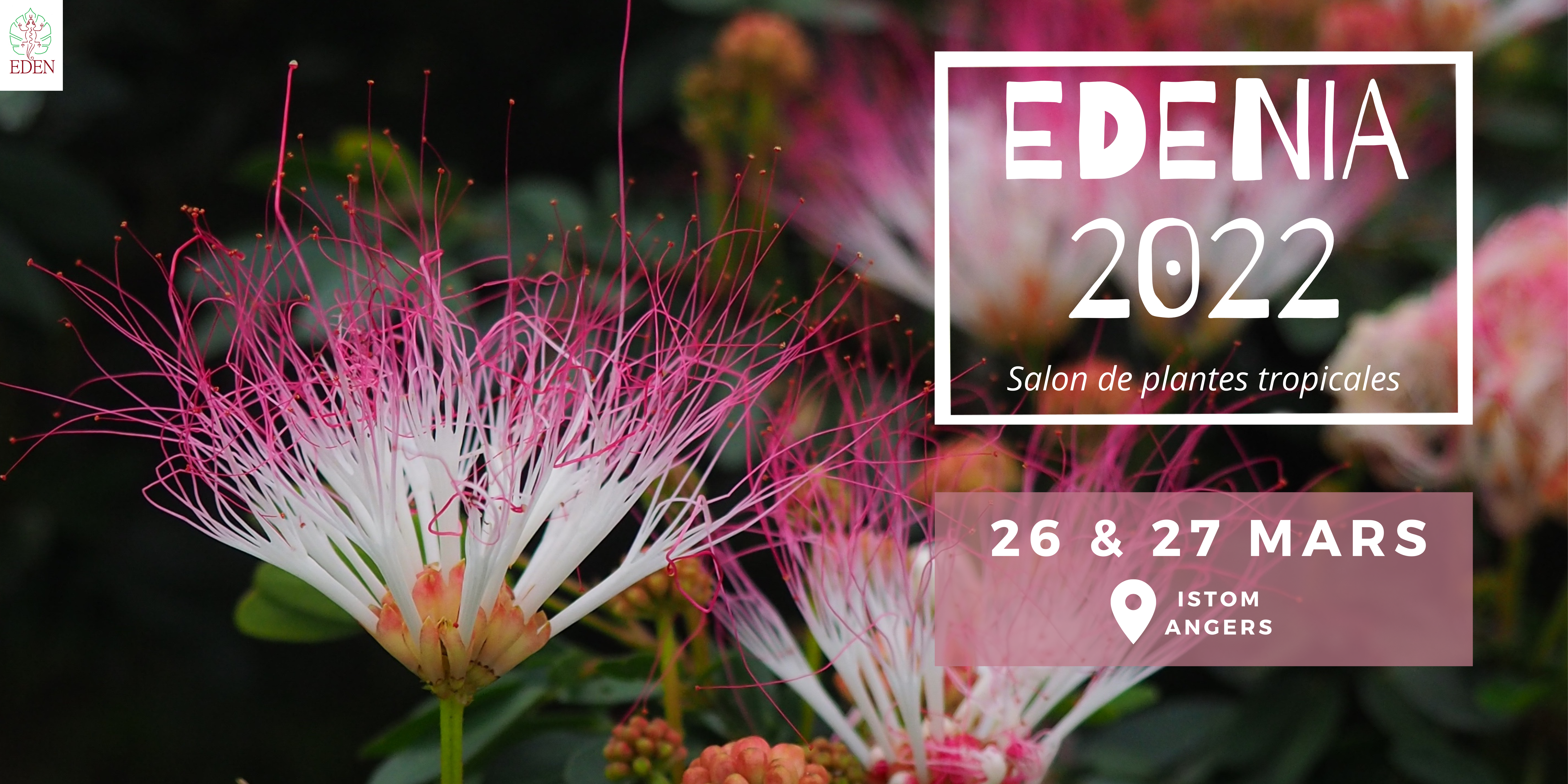 EDENIA - Salon de plantes tropicales