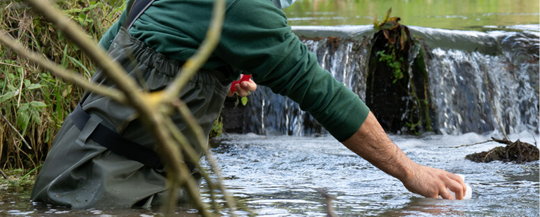 Etudiant du domaine d'approfondissement territoires, risques et aménagements en train de recenser des micro-invertébrés dans une rivière.