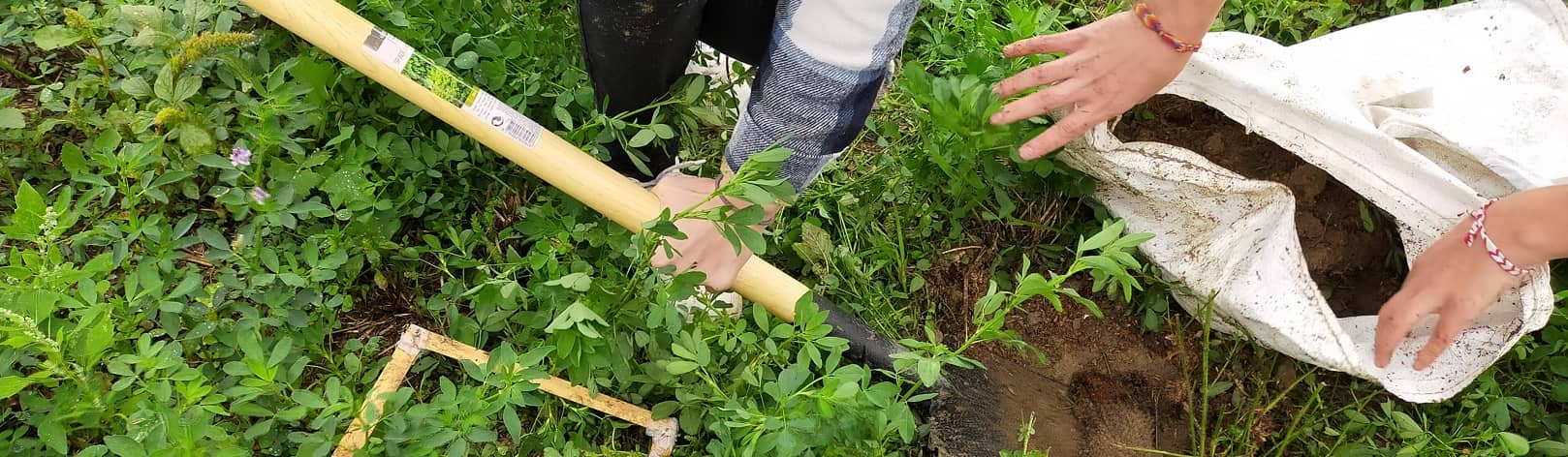 Groupe d'étudiants dans un champs en train de prélever la macrofaune du sol sur des parcelles en agriculture biologique, pour évaluer sa richesse et sa santé, en lien avec les pratiques agricoles.