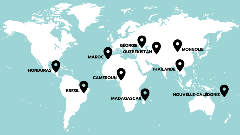 Carte du monde présentant les lieux où les étudiants ont réalisé leur stage : Honduras, Brésile, Maroc, Cameroun, Madagascar, Géorgie, Ouzbékistant, Mongolie, Thaïlande et Nouvelle-Calédonie.