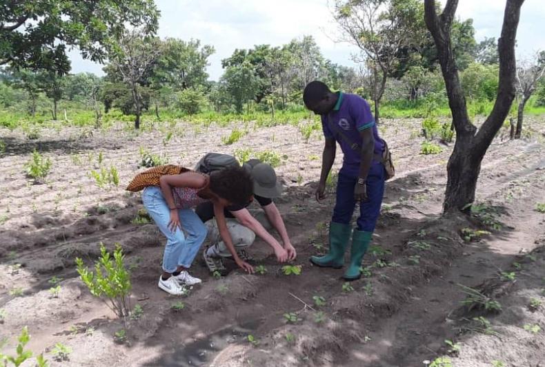 Mission Jeunes Experts au Togo