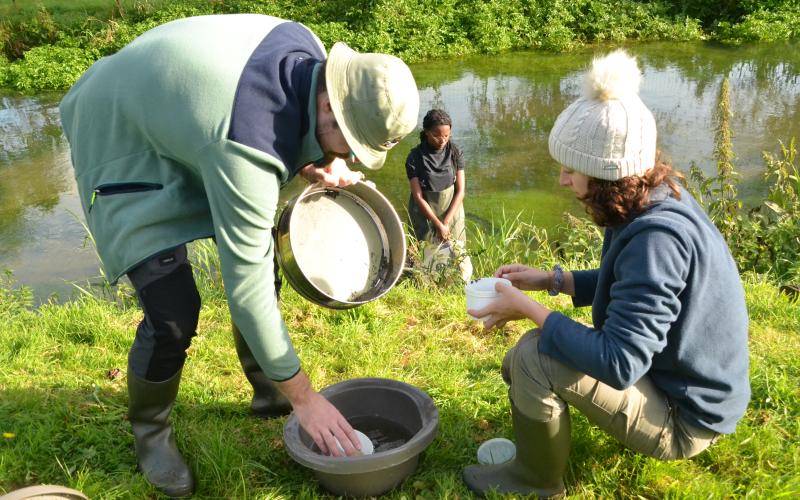 Etudiants du domaine d'approfondissement territoires, risques et aménagements en train de recenser des micro-invertébrés dans une rivière.