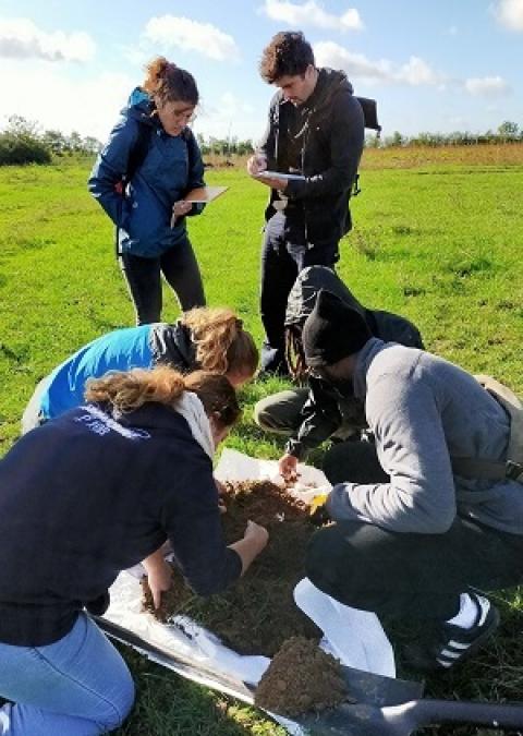 Etudiants en train de prélever la macrofaune du sol sur des parcelles en agriculture biologique, en polycultures ainsi que sur une parcelle maraichère sur un sol vivant.