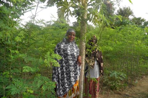 Alimatou à Birni N’Gaouré